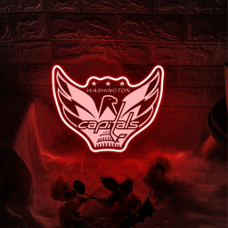 Ice Hockey Washington Capitals Metal Signs