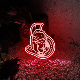 Ottawa Senators Ice Hockey Laser Signs