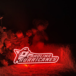 Carolina Hurricanes Ice Hockey Laser Signs