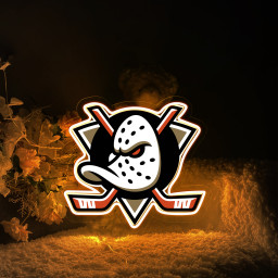 Anaheim Ducks Ice Hockey UV Signs