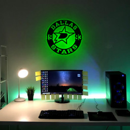 Dallas Stars Ice Hockey Metal Sign Wall Decor