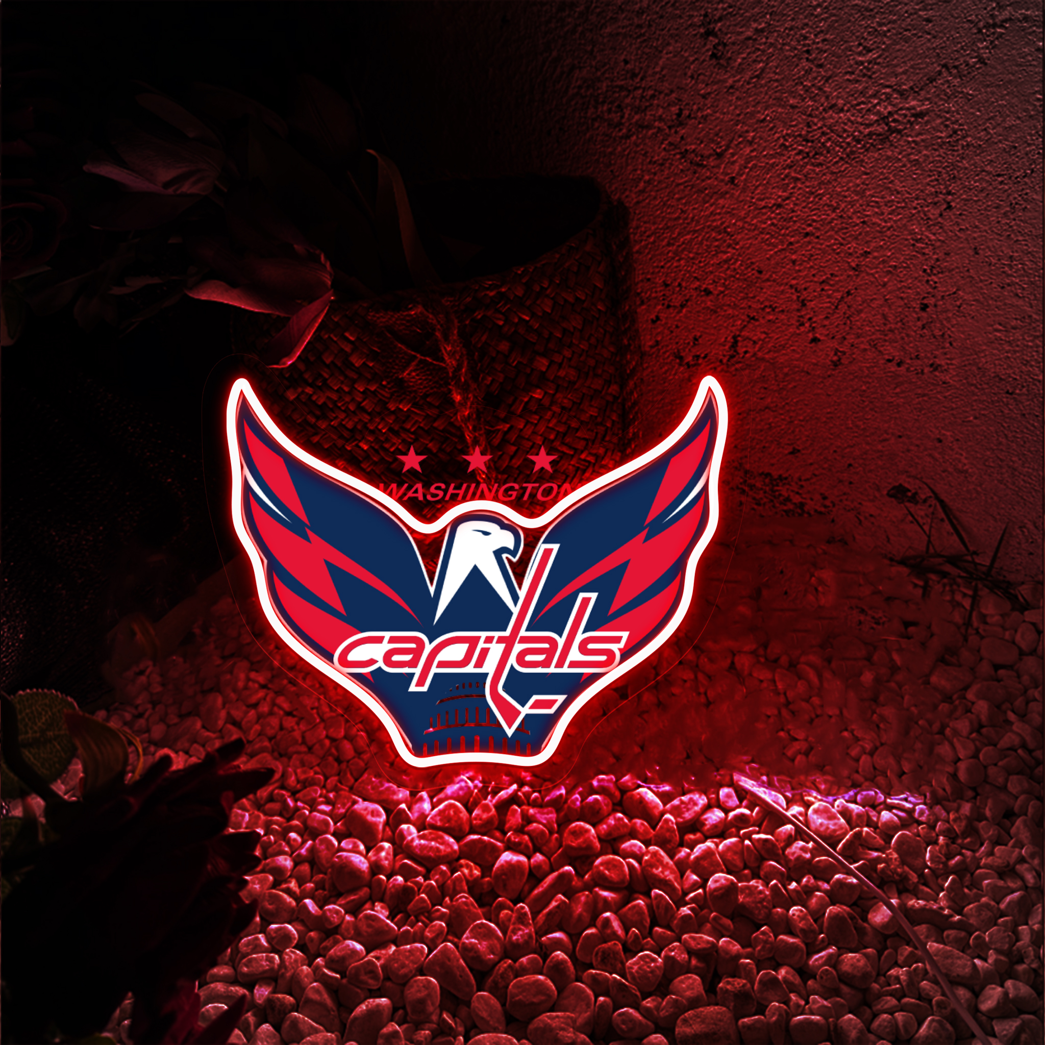 Ice Hockey Washington Capitals UV Signs