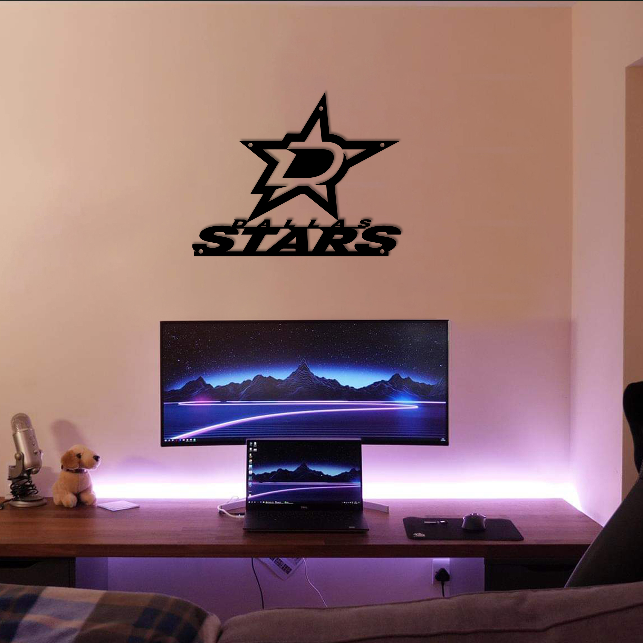 Ice Hockey Dallas Stars Metal Sign