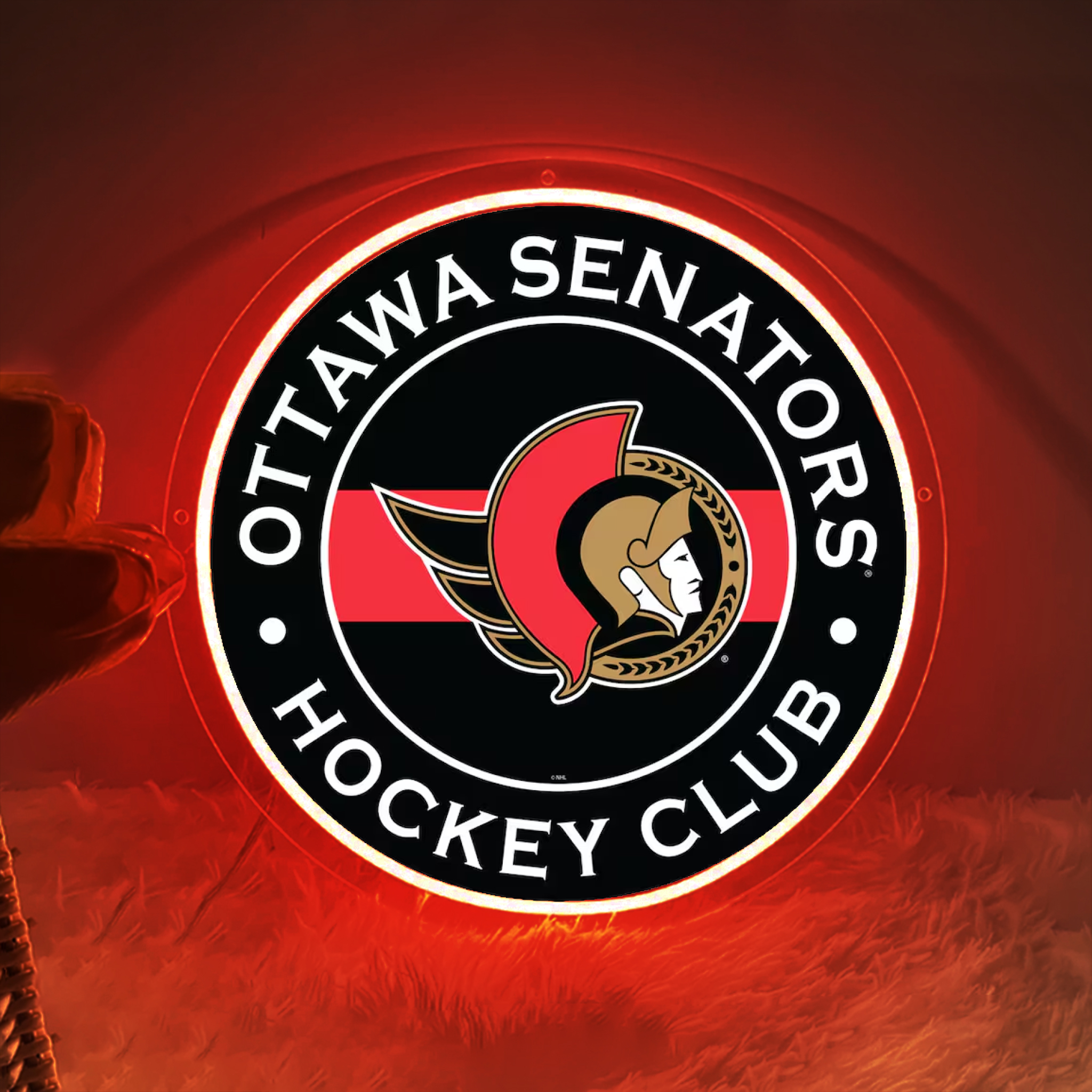 Ice Hockey Ottawa Senators UV Sign Wall Decor