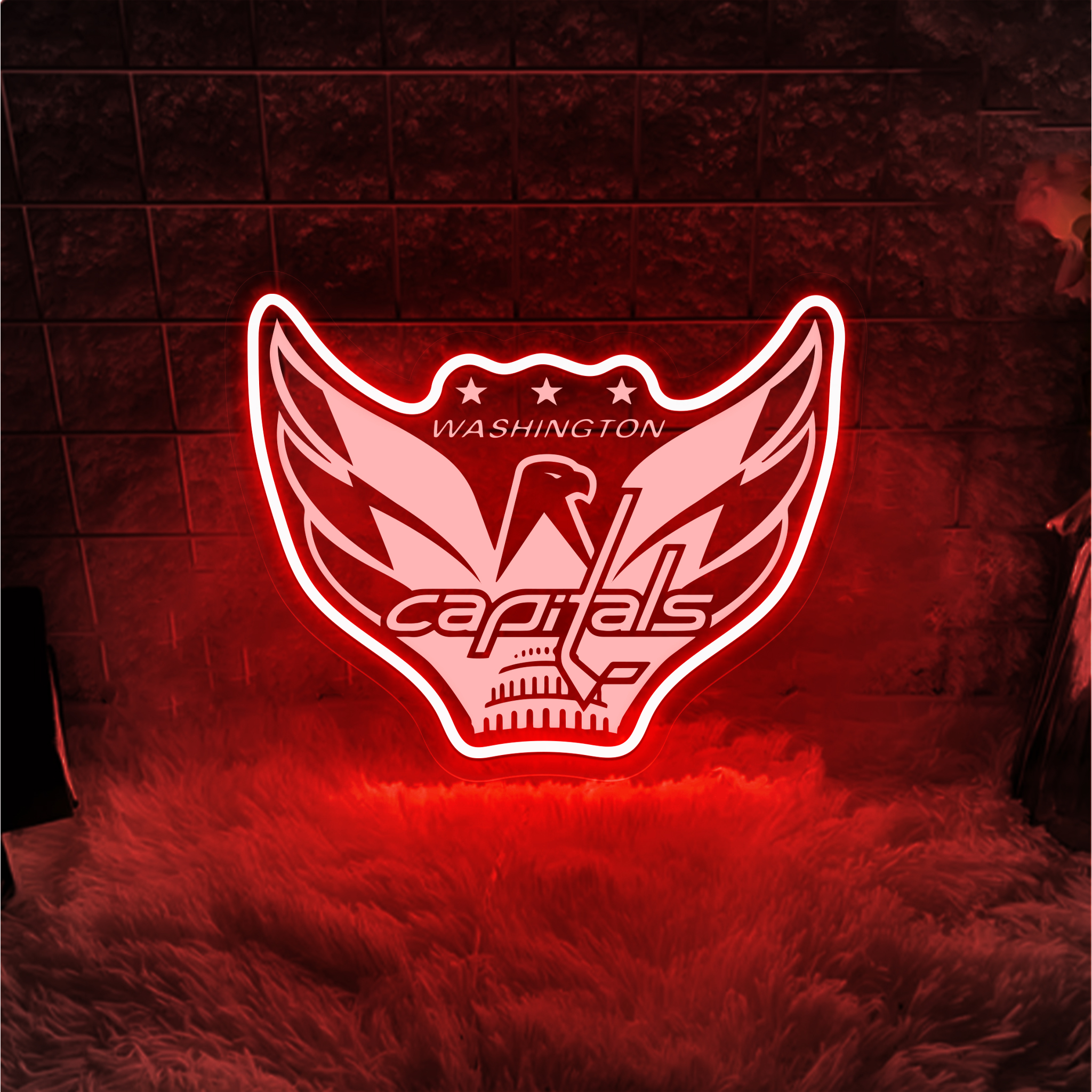 Ice Hockey Washington Capitals Metal Signs