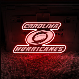 Carolina Hurricanes Ice Hockey Laser Signs Wall Decor