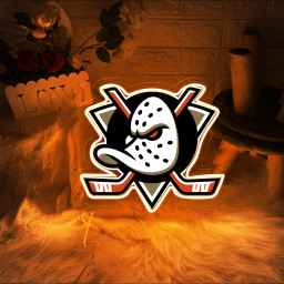 Anaheim Ducks Ice Hockey UV Signs