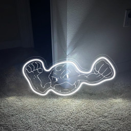 Pokemon Geodude Laser Signs