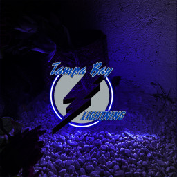 Ice Hockey Tampa Bay Lightning UV Signs Wall Decor
