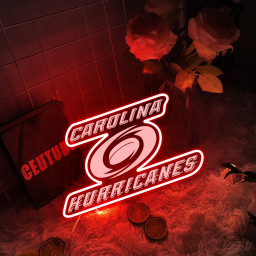 Carolina Hurricanes Ice Hockey Laser Signs Wall Decor