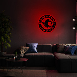 Ice Hockey Ottawa Senators Metal Sign Wall Decor