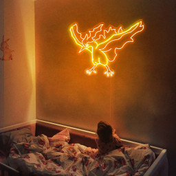 Pokemon Moltres Neon Signs