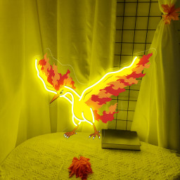 Moltres Pokemon UV Signs