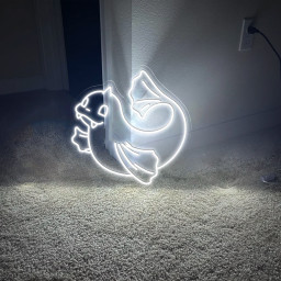 Dewgong Pokemon Neon Signs