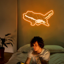 Moltres Pokemon Laser Sign