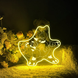 Pokemon Magmar Laser Signs