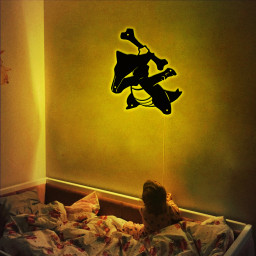 Pokemon Marowak Metal Signs