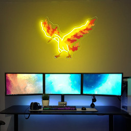 Moltres Pokemon UV Signs