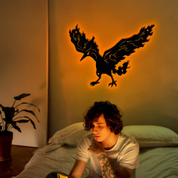 Moltres Pokemon Metal Signs