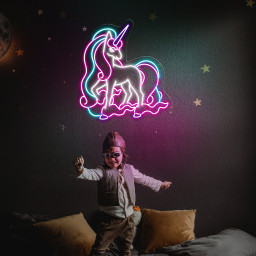 Rapidash Pokemon Neon Sign