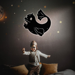 Dewgong Pokemon Metal Signs