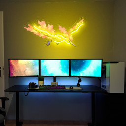 Moltres Pokemon UV Sign