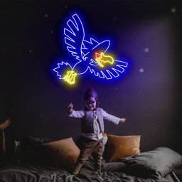 Pokemon Murkrow Neon Signs