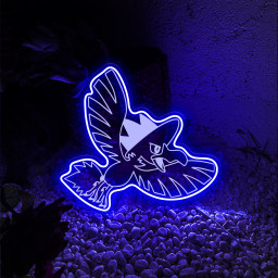 Pokemon Murkrow Laser Signs