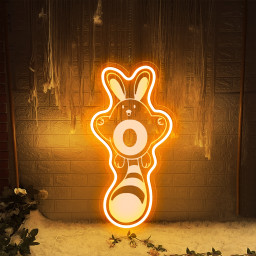 Pokemon Sentret Laser Signs