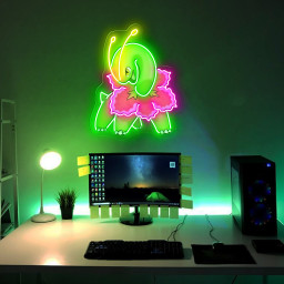 Meganium Pokemon UV Sign