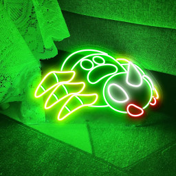 Pokemon Spinarak Neon Signs