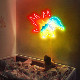 Pokemon Cyndaquil Laser Signs
