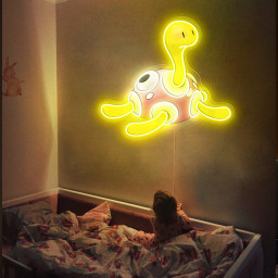 Pokemon Shuckle UV Signs