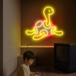 Pokemon Shuckle Neon Signs