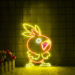 Pokemon Torchic Neon Sign