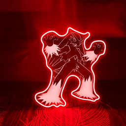 Pokemon Blaziken Laser Signs