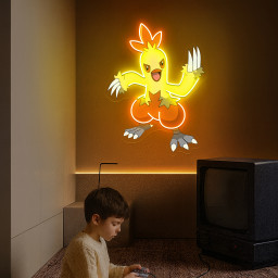 Combusken Pokemon UV Signs