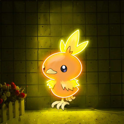 Pokemon Torchic UV Signs