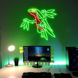 Grovyle Pokemon Neon Sign