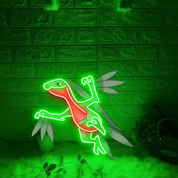 Grovyle Pokemon UV Sign