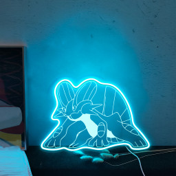 Pokemon Swampert Laser Signs