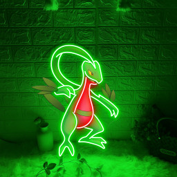 Grovyle Pokemon UV Signs