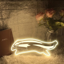 Linoone Pokemon Laser Sign