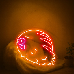 Pokemon Swinub Neon Sign