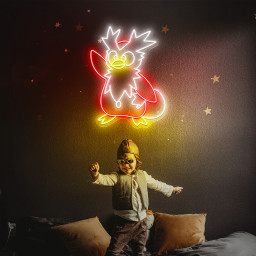 Pokemon Delibird Neon Signs