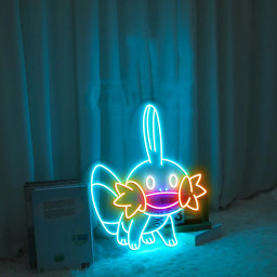 Pokemon Mudkip Neon Signs