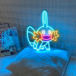 Pokemon Mudkip Neon Signs