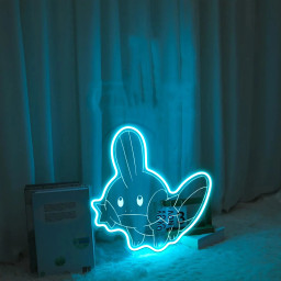 Mudkip Pokemon Laser Signs