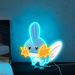 Mudkip Pokemon UV Signs