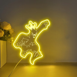 Pokemon Combusken Laser Signs